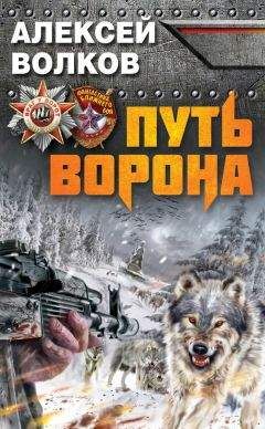 Максим Бояринов - Год ворона, книга первая