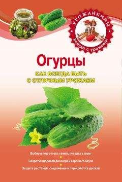 Галина Кизима - Крепкая рассада – богатый урожай. Все секреты опытного огородника