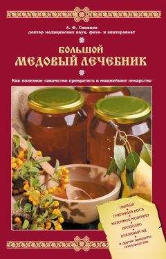 Нина Башкирцева - Доктор мед. Здоровье и красота из улья