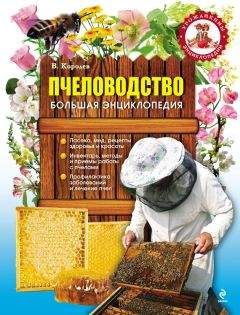 Татьяна Шнуровозова - Пчелы