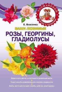 Надежда Стенина - Практическая энциклопедия цветовода