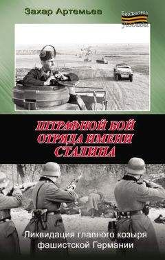 Федор Березин - Война 2010: Украинский фронт