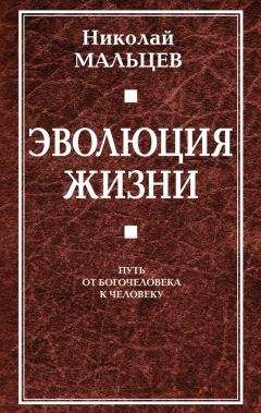 Дональд Инглиш - Евангелие от Марка