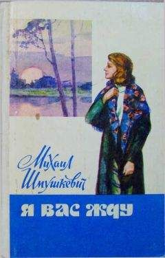 Иван Щеголихин - Бремя выбора (Повесть о Владимире Загорском)