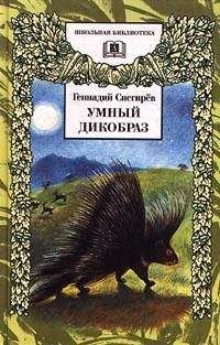 Алексей Ливеровский - Охотничье братство