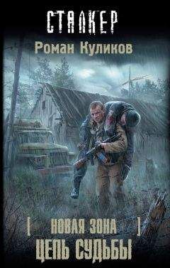 Роман Куликов - Дело чести