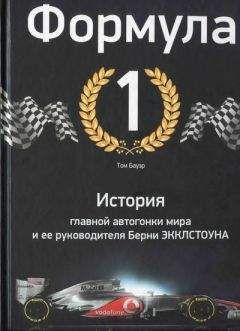 Ник Билтон - Инкубатор Twitter. Подлинная история денег, власти, дружбы и предательства