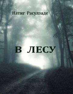 Андрей Ломачинский - Вынос мозга. Рассказы судмедэксперта (сборник)