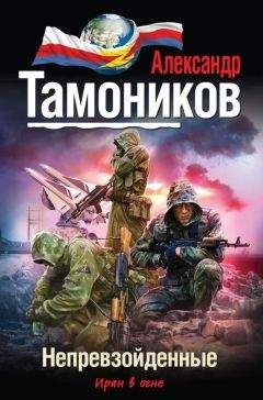 Александр Тамоников - Удар «Стрелы»