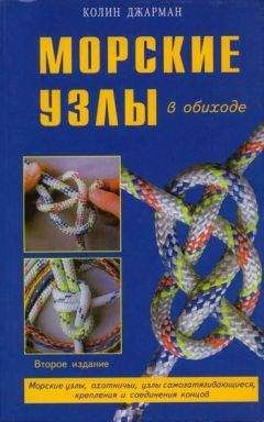 Сергей Семиков - Баллистическая теория Ритца и картина мироздания