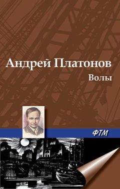 Андрей Платонов - Волы