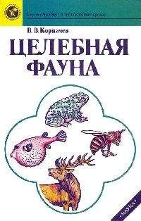 Александр Лаздин - Электричество в жизни рыб