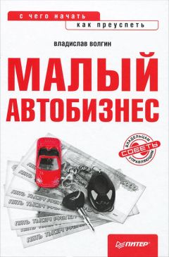 Владислав Волгин - Малый автобизнес: с чего начать, как преуспеть