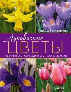 Лариса Петровская - Луковичные цветы: выбираем, выращиваем, наслаждаемся