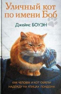 Аноним Бандильерос - Звезда по имени...