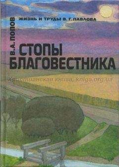 Владимир Соловьев - Теоретическая философия