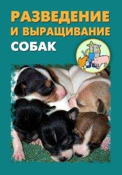 Илья Мельников - Одежда для собак. Шитье и вязание