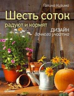 Галина Кизима - Цветущий сад легко и просто. Зеленый и красивый участок круглый год