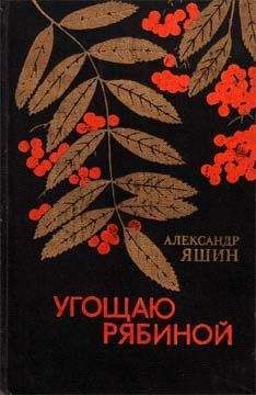 Александр Твардовский - Советский рассказ. Том второй