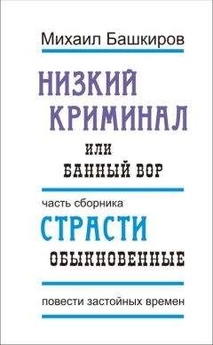 Михаил Башкиров - Любовь студента, или По всем правилам осадного искусства