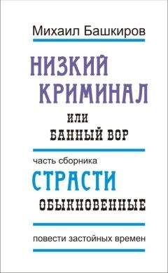 Михаил Башкиров - Одиночный десант, или Реликт