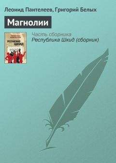 Владимир Одоевский - Привидение. Из путевых заметок