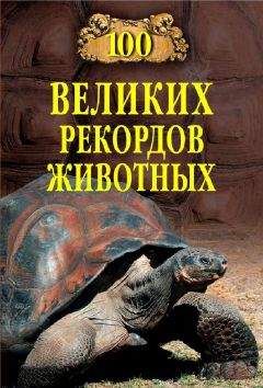 Станислав Зигуненко - 100 великих рекордов авиации и космонавтики