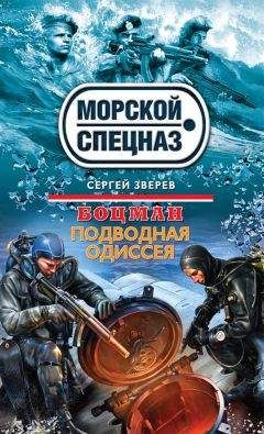 Сергей Зверев - Поднебесные убийцы
