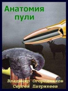Константин Морозов - Минно-торпедное оружие