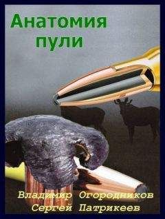 Олег Валецкий - Управляемое авиационное оружие США и НАТО