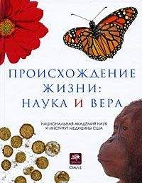 Николай Курчанов - Поведение: эволюционный подход