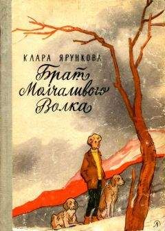 Александра Анненская - Младший брат