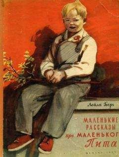 Рене Госинни - Глупости маленького Николя
