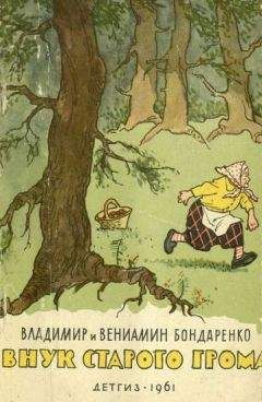 Владимир Бондаренко - Внук старого Грома
