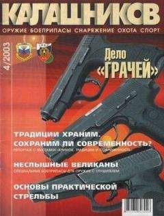 Евгений Александров - Возрождение «трёхлинейки» или современный инструмент снайпера?