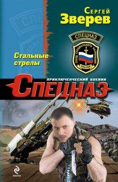 Сергей Зверев - Стальные стрелы