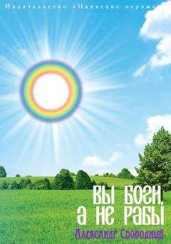 Александр Хакимов - Варнашрама-дхарма. Совершенное общественное устройство. Размышления