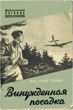 Николай Томан - В погоне за призраком