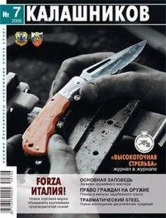 Дмитрий Козлов - Бластинг. Гид по высокоэффективной абразивоструйной очистке