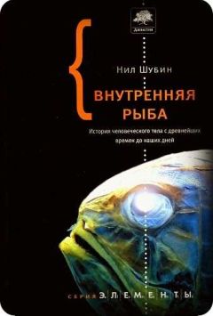 Несса Кэри - Мусорная ДНК. Путешествие в темную материю генома