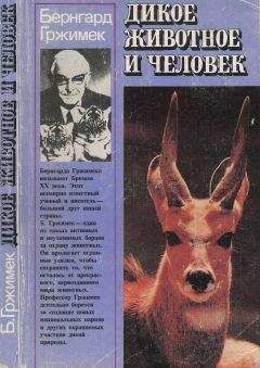 Хел Херцог - Радость, гадость и обед
