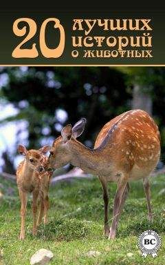 Коллектив авторов - 20 лучших историй о животных