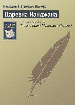 Николай Чернышевский - Русский человек на rendez-vous (статья)