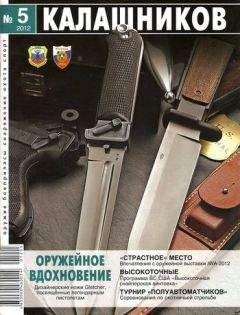 Евгений Александров - Возрождение «трёхлинейки» или современный инструмент снайпера?