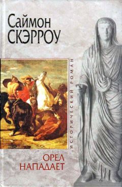 Джеймс Нельсон - Викинги. Ирландская сага