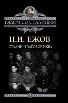 Павел Судоплатов - Хроника тайной войны и дипломатии. 1938-1941 годы