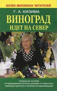 Галина Кизима - Виноград идет на Север