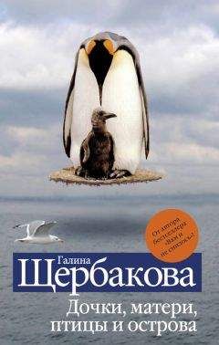 Вадим Михайлов - Послевкусие страстей и превратности мнимой жизни