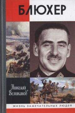 Б Соколов - Михаил Тухачевский - жизнь и смерть Красного маршала