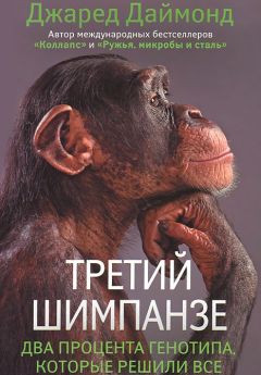 Эдвард Норберт - Homo Sapiens. Краткая история эволюции человечества